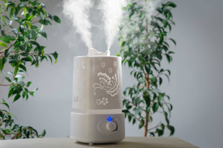 Cool Mist Humidifier Benefits